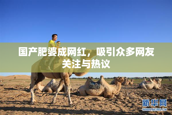 国产肥婆成网红，吸引众多网友关注与热议