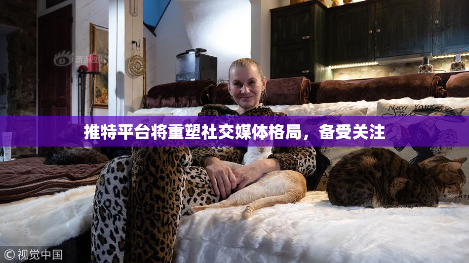 推特平台将重塑社交媒体格局，备受关注