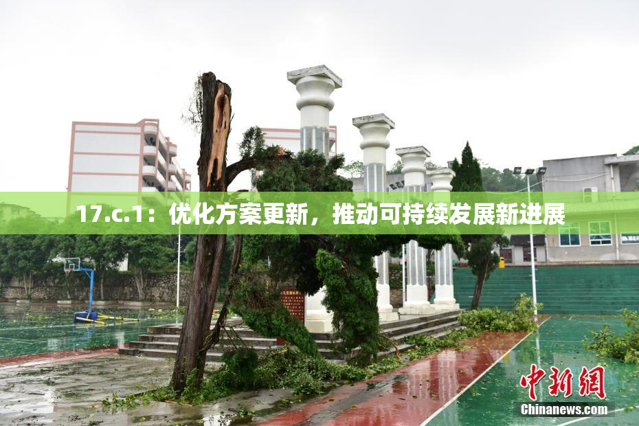17.c.1：优化方案更新，推动可持续发展新进展