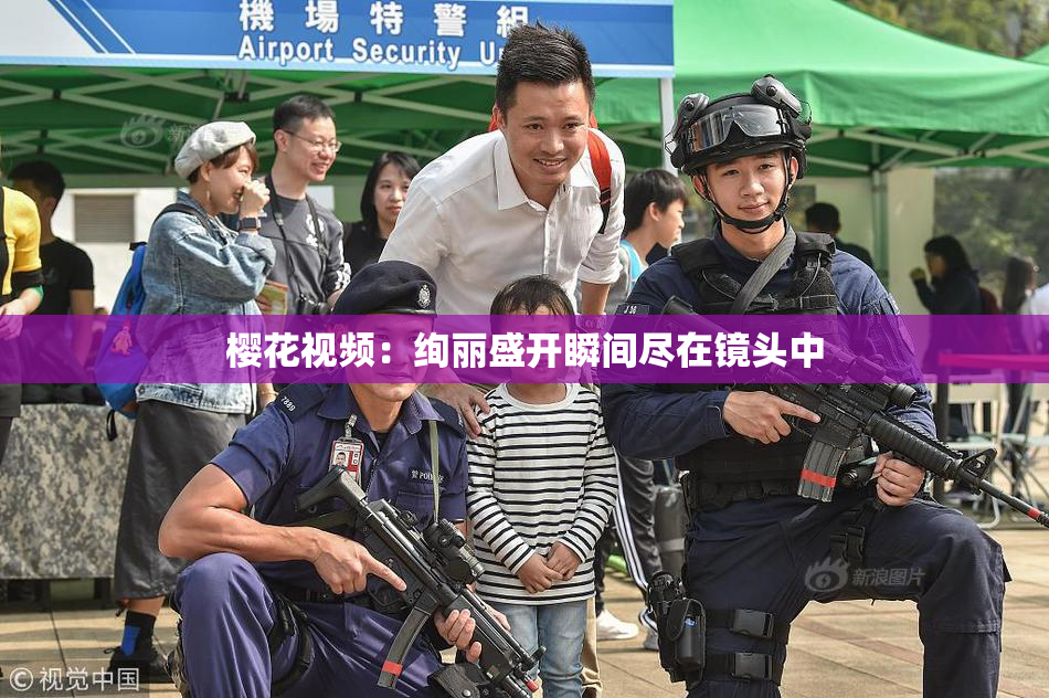 樱花视频：绚丽盛开瞬间尽在镜头中