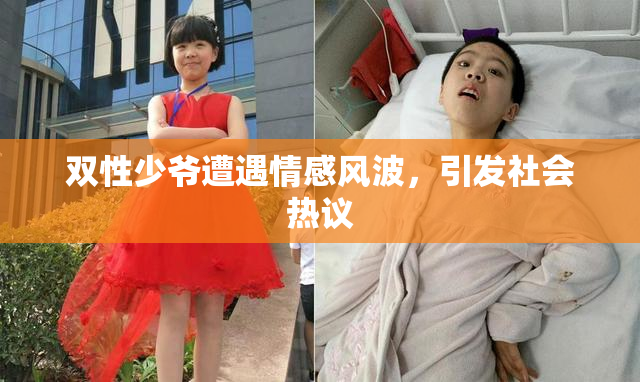双性少爷遭遇情感风波，引发社会热议