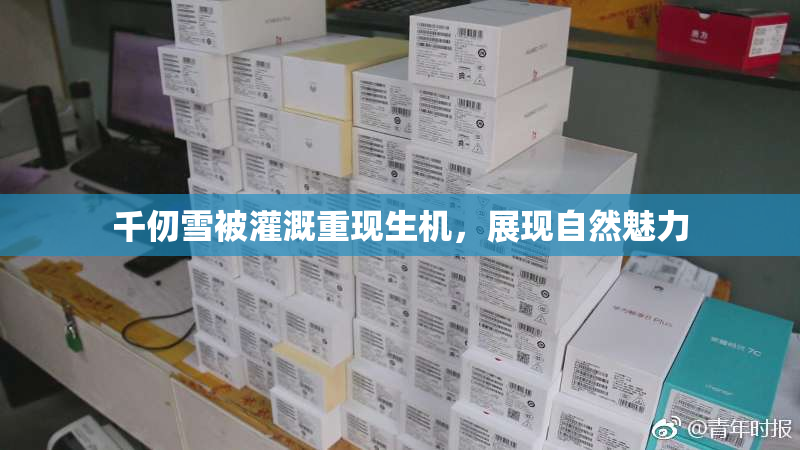 千仞雪被灌溉重现生机，展现自然魅力
