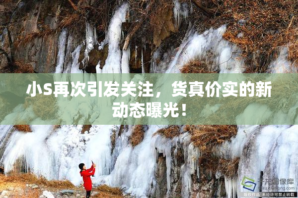 小S再次引发关注，货真价实的新动态曝光！
