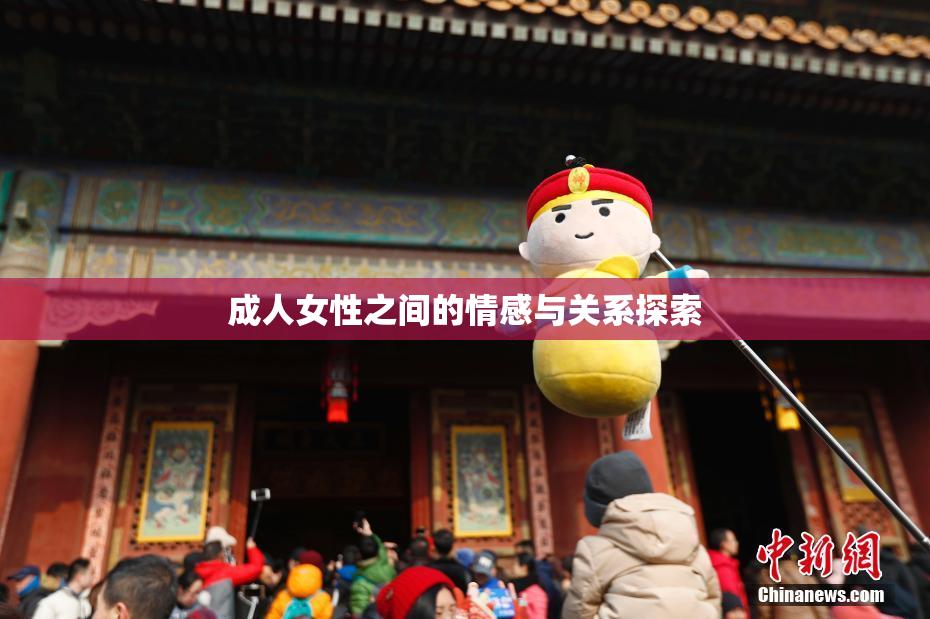 成人女性之间的情感与关系探索