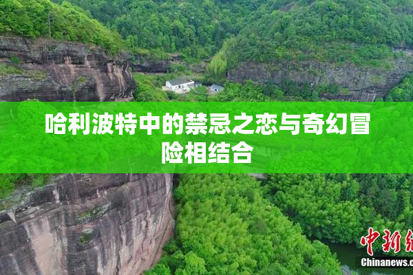 哈利波特中的禁忌之恋与奇幻冒险相结合