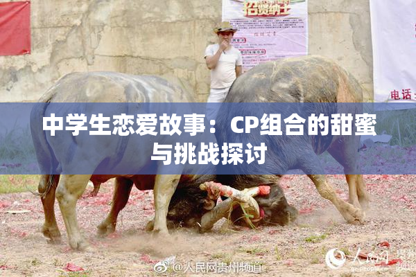 中学生恋爱故事：CP组合的甜蜜与挑战探讨