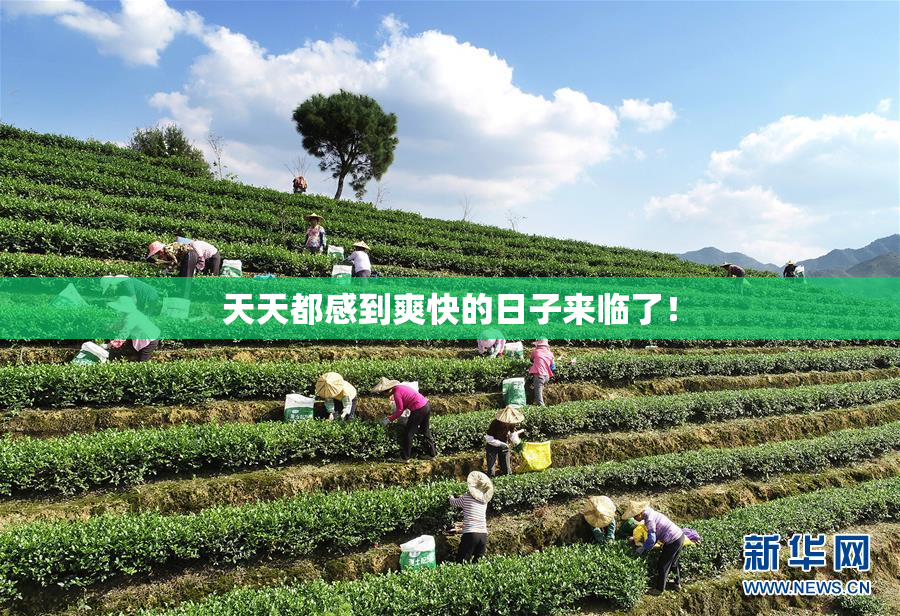 天天都感到爽快的日子来临了！