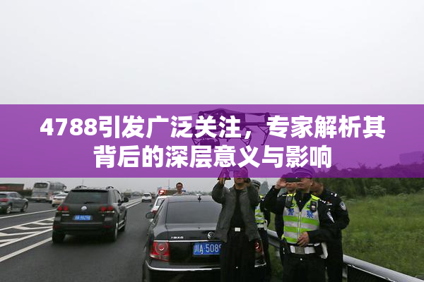 4788引发广泛关注，专家解析其背后的深层意义与影响