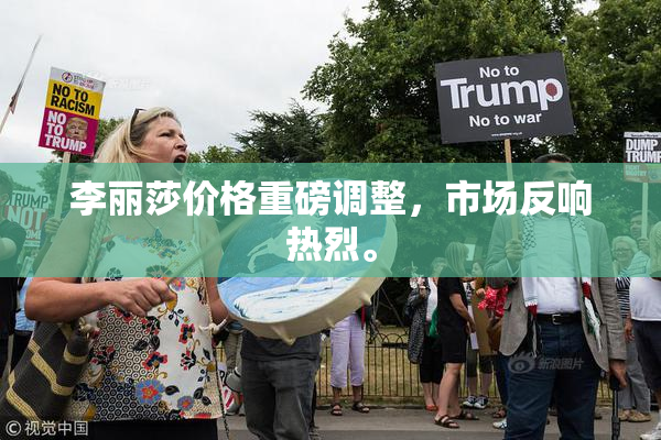 李丽莎价格重磅调整，市场反响热烈。