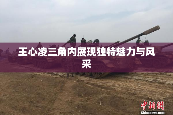 王心凌三角内展现独特魅力与风采