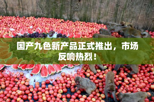 国产九色新产品正式推出，市场反响热烈！