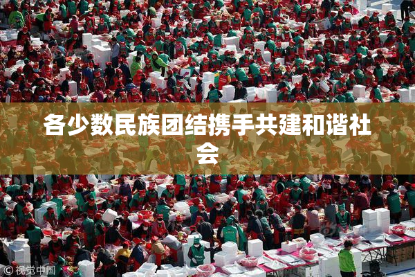各少数民族团结携手共建和谐社会