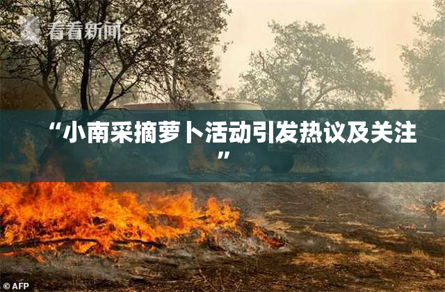 “小南采摘萝卜活动引发热议及关注”
