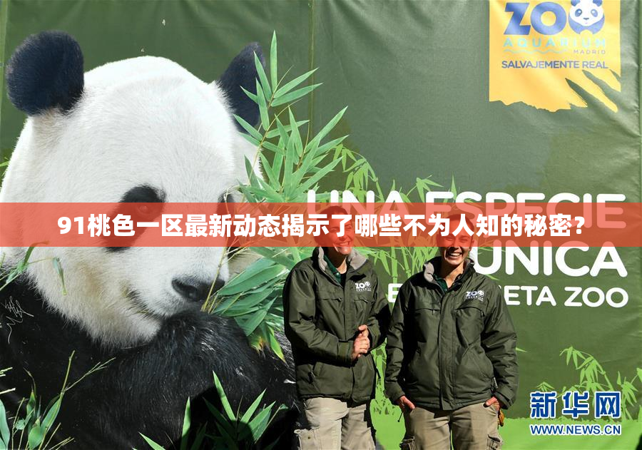 91桃色一区最新动态揭示了哪些不为人知的秘密？