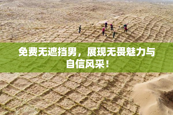 免费无遮挡男，展现无畏魅力与自信风采！