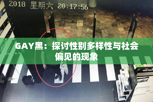GAY黑：探讨性别多样性与社会偏见的现象