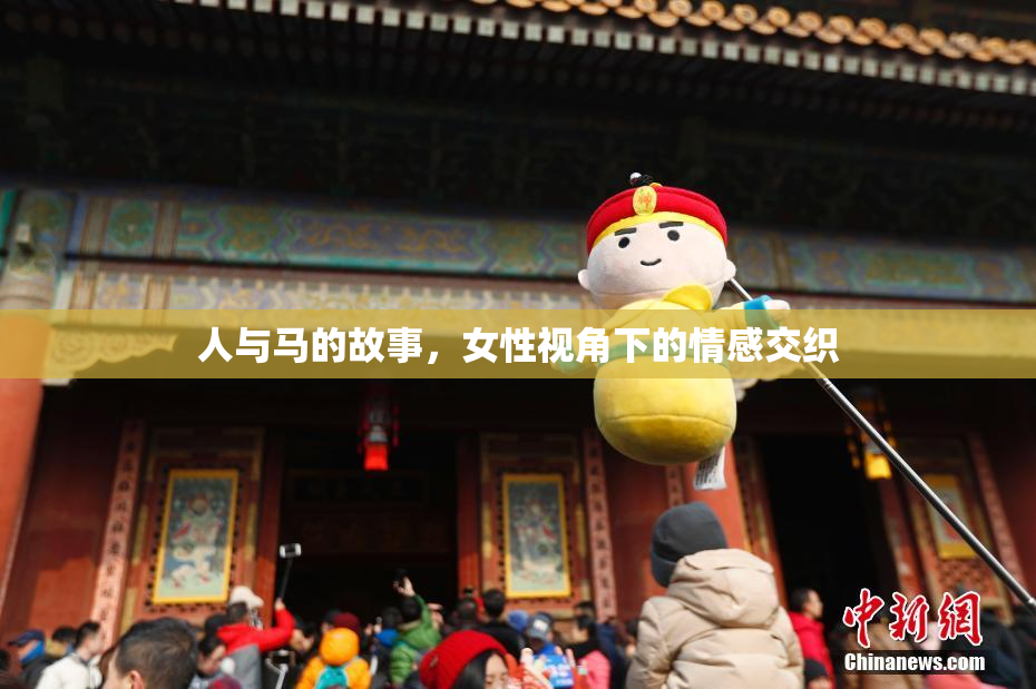 人与马的故事，女性视角下的情感交织