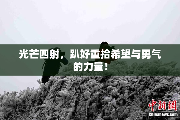 光芒四射，趴好重拾希望与勇气的力量！