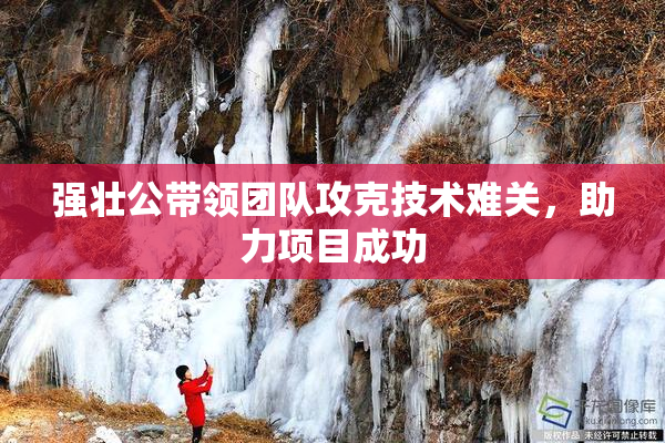 强壮公带领团队攻克技术难关，助力项目成功