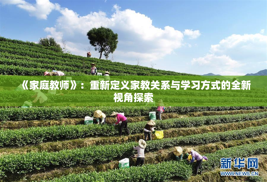 《家庭教师》：重新定义家教关系与学习方式的全新视角探索