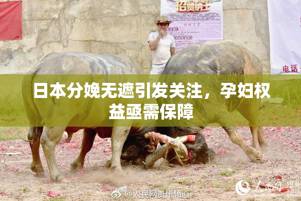 日本分娩无遮引发关注，孕妇权益亟需保障