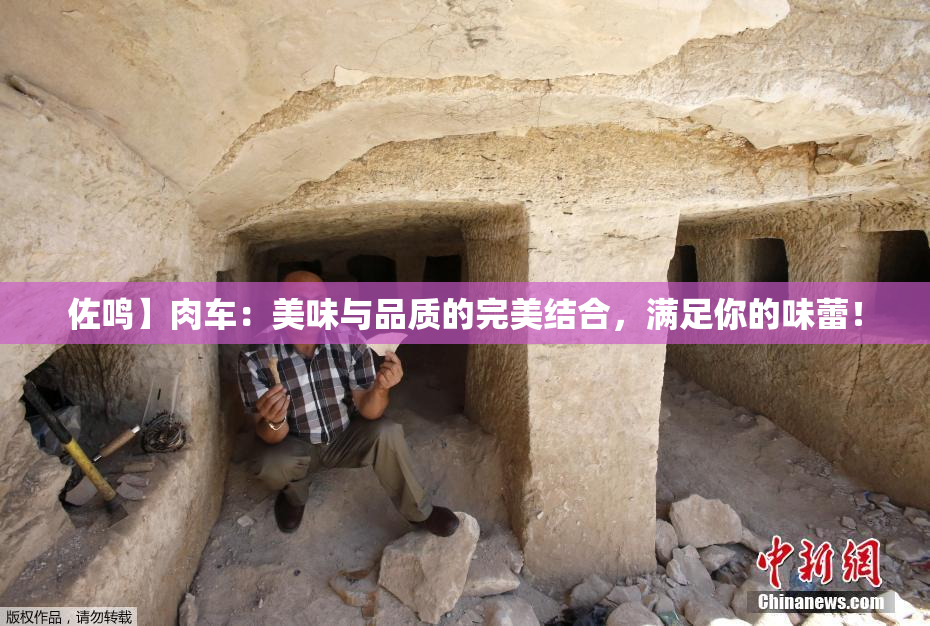 佐鸣】肉车：美味与品质的完美结合，满足你的味蕾！