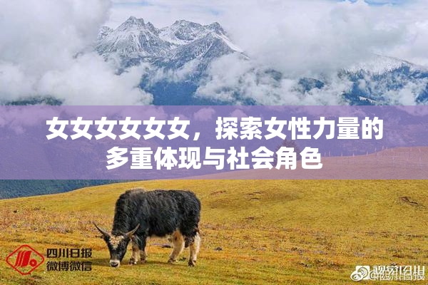 女女女女女女，探索女性力量的多重体现与社会角色