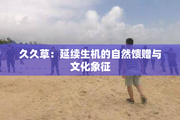 久久草：延续生机的自然馈赠与文化象征