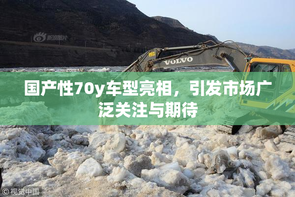 国产性70y车型亮相，引发市场广泛关注与期待