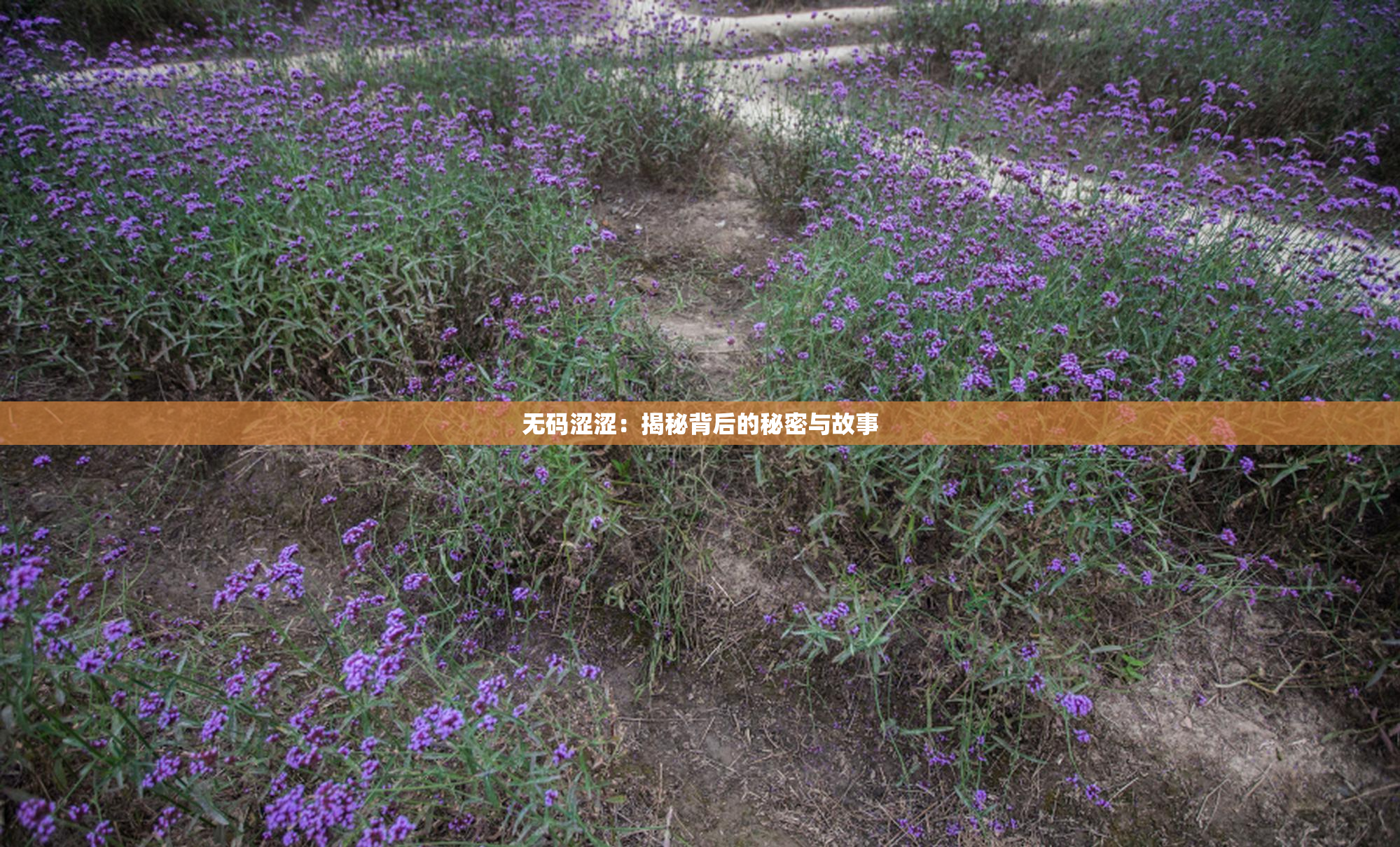 无码涩涩：揭秘背后的秘密与故事