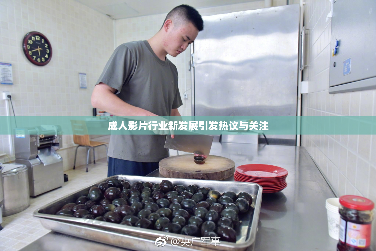 成人影片行业新发展引发热议与关注