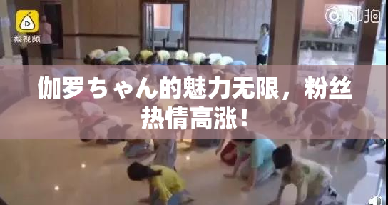 伽罗ちゃん的魅力无限，粉丝热情高涨！