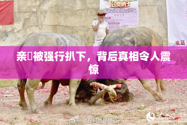 亲妺被强行扒下，背后真相令人震惊
