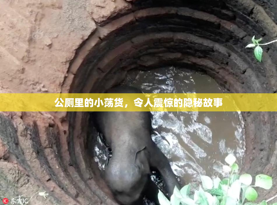 公厕里的小荡货，令人震惊的隐秘故事