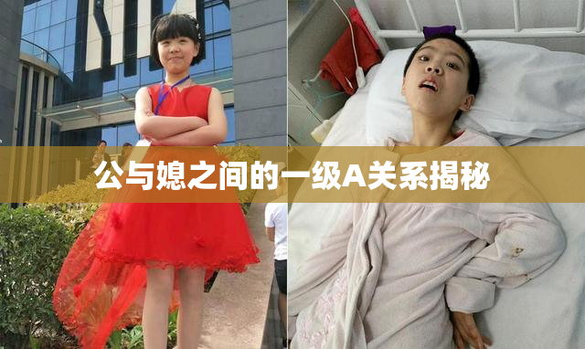 公与媳之间的一级A关系揭秘