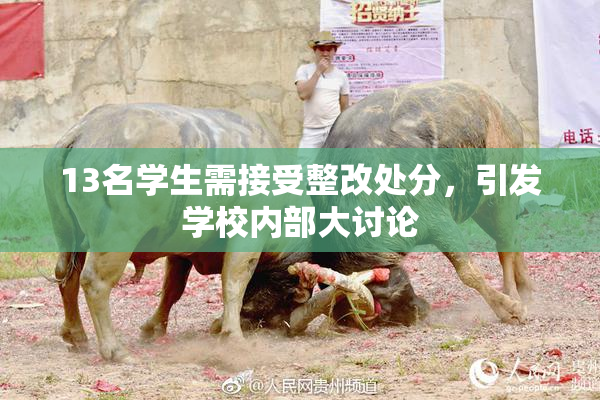 13名学生需接受整改处分，引发学校内部大讨论