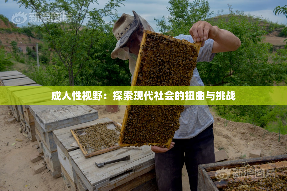 成人性视野：探索现代社会的扭曲与挑战