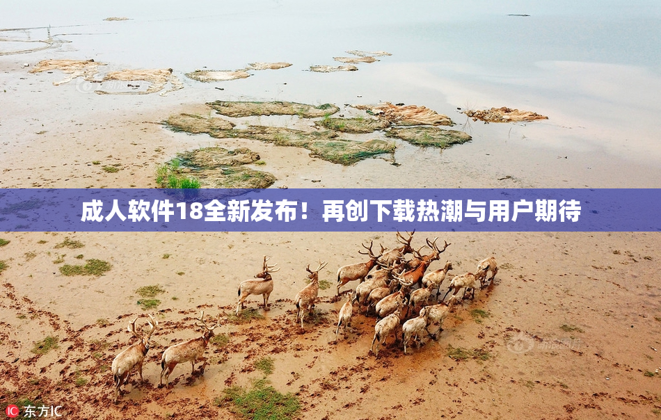 成人软件18全新发布！再创下载热潮与用户期待