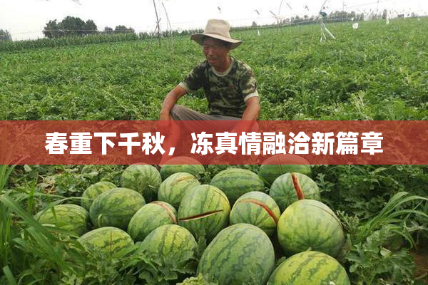 春重下千秋，冻真情融洽新篇章