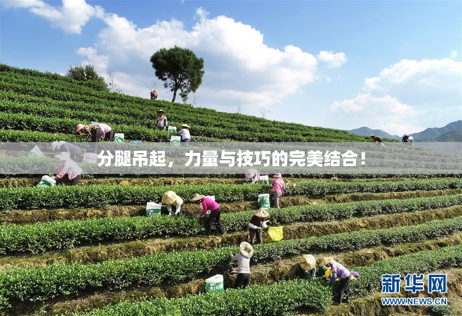 分腿吊起，力量与技巧的完美结合！