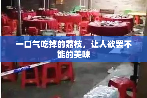 一口气吃掉的荔枝，让人欲罢不能的美味