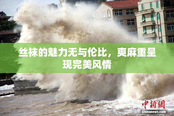 丝袜的魅力无与伦比，爽麻重呈现完美风情