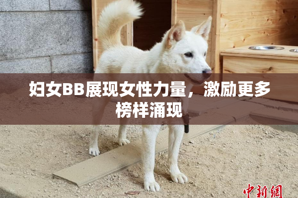 妇女BB展现女性力量，激励更多榜样涌现