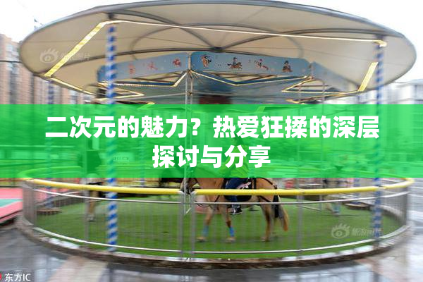 二次元的魅力？热爱狂揉的深层探讨与分享