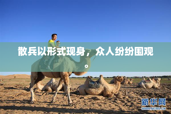 散兵以形式现身，众人纷纷围观。