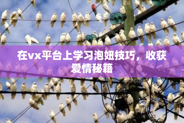在vx平台上学习泡妞技巧，收获爱情秘籍
