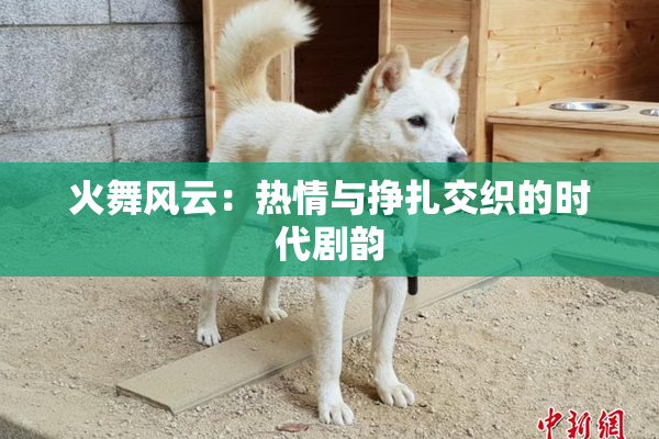 火舞风云：热情与挣扎交织的时代剧韵