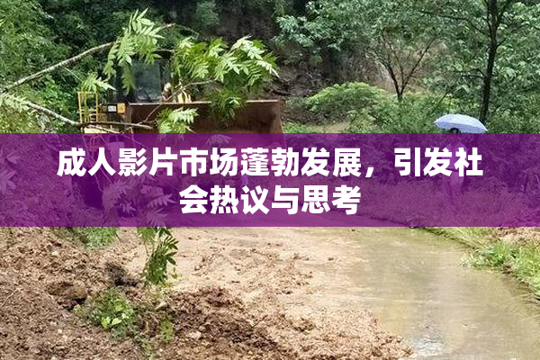 成人影片市场蓬勃发展，引发社会热议与思考