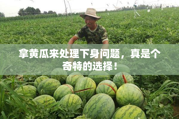 拿黄瓜来处理下身问题，真是个奇特的选择！
