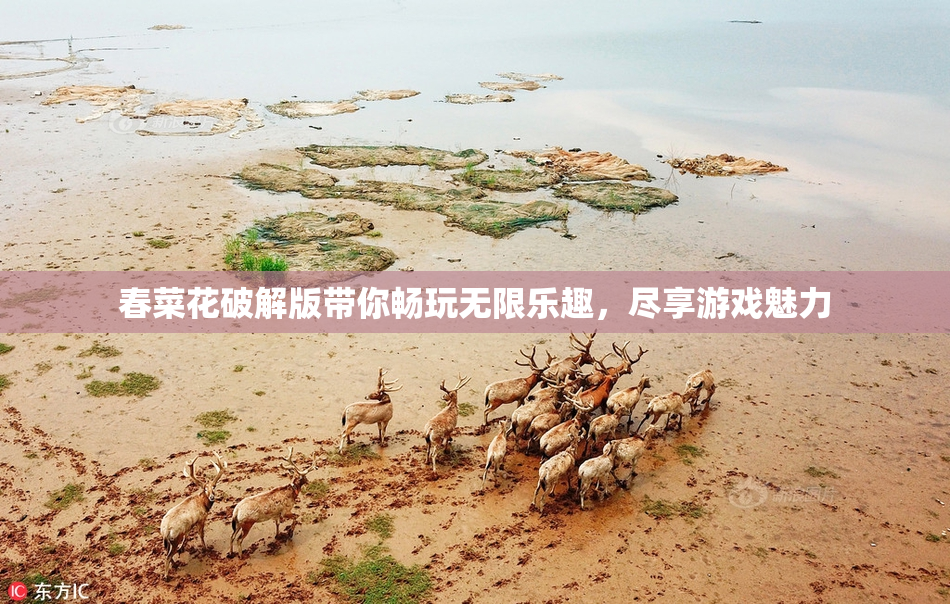 春菜花破解版带你畅玩无限乐趣，尽享游戏魅力